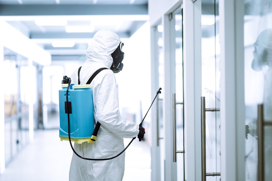 Why More Homeowners Recommend Hawx Pest Control Reviews